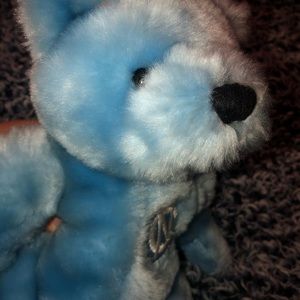 North Carolina Tar-heels collectible plush teddy bear